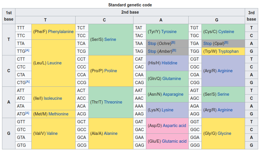 DNA/Codon table (Source: Wikipedia)