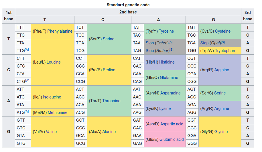 Кислота на английском. Genetic code Table. Генетический код аминокислот. Таблица генетического кода на английском. Генетический код картинки.