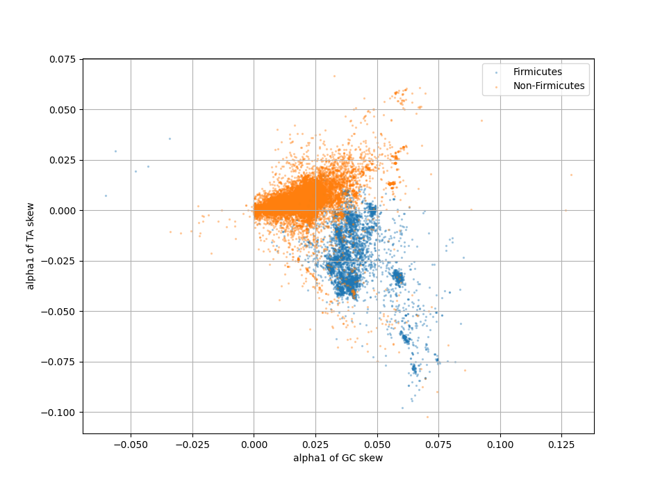 GC versus TA skew direction for 25000 chromosomes